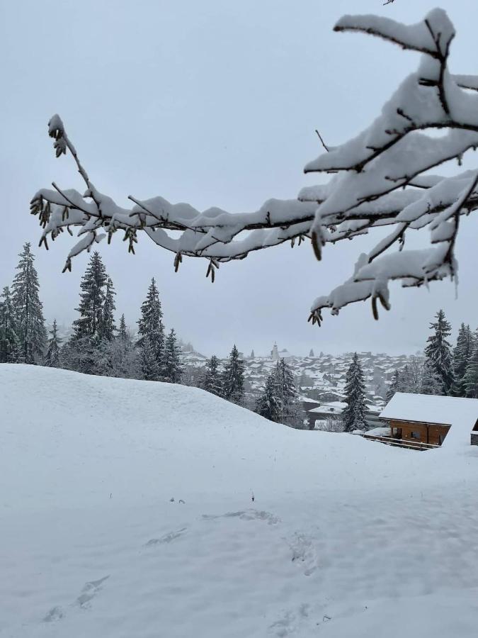 Ferienwohnung 3,5 Zimmer Direkt An Ski- Und Bikepiste Flims Exteriör bild