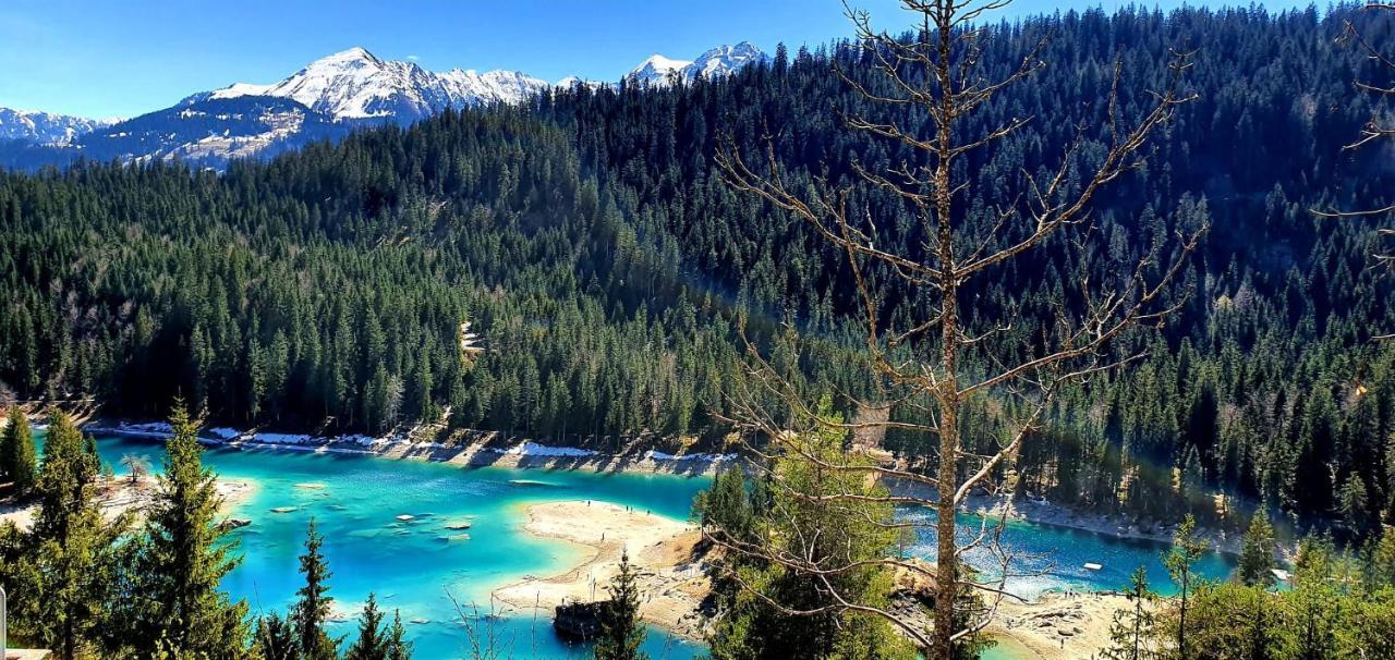 Ferienwohnung 3,5 Zimmer Direkt An Ski- Und Bikepiste Flims Exteriör bild